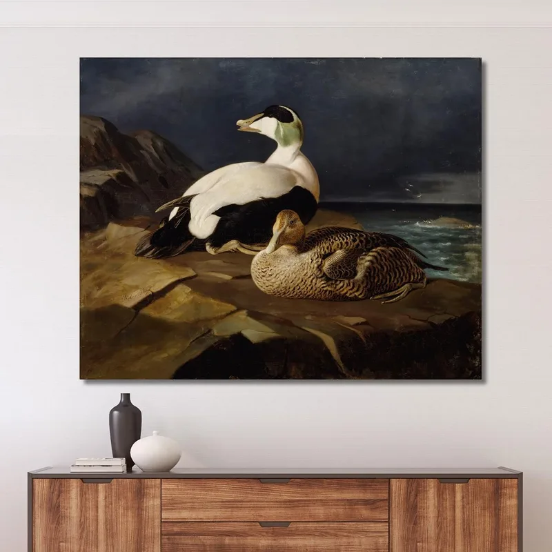 Pair Of Common Eiders On A Rock Ferdinand von Wright