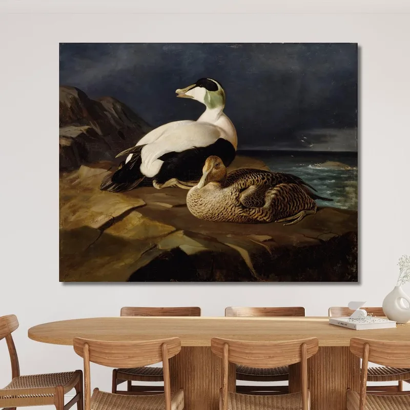 Pair Of Common Eiders On A Rock Ferdinand von Wright