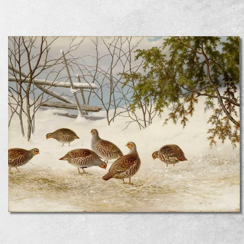 Rebhühner Im Schnee Ferdinand von Wright drucken auf leinwand