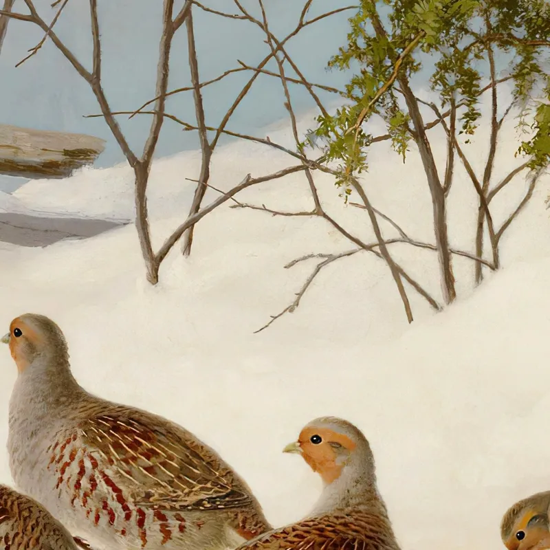 Perdices En La Nieve Ferdinand von Wright