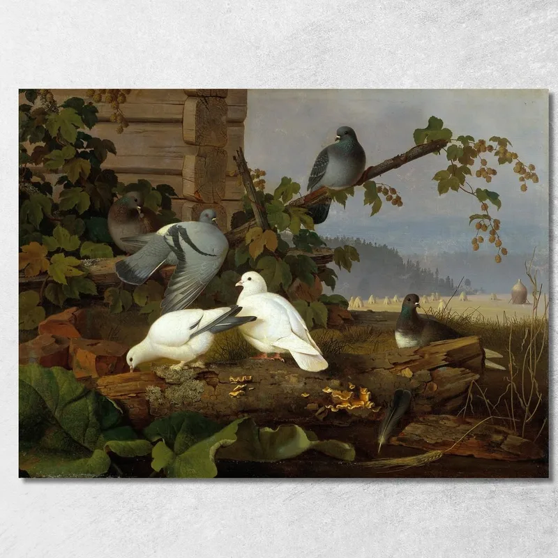 Tauben Ferdinand von Wright drucken auf leinwand