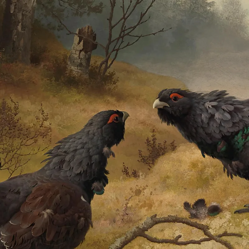 The Fighting Capercaillies Ferdinand von Wright