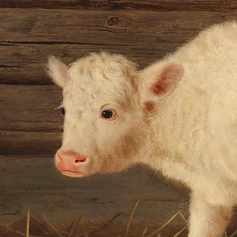 Die Überraschung Ferdinand von Wright