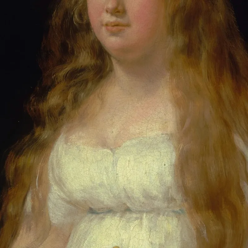 Josefa De Castilla Portugal Et Van Asbrock De Garcini Francisco de Goya