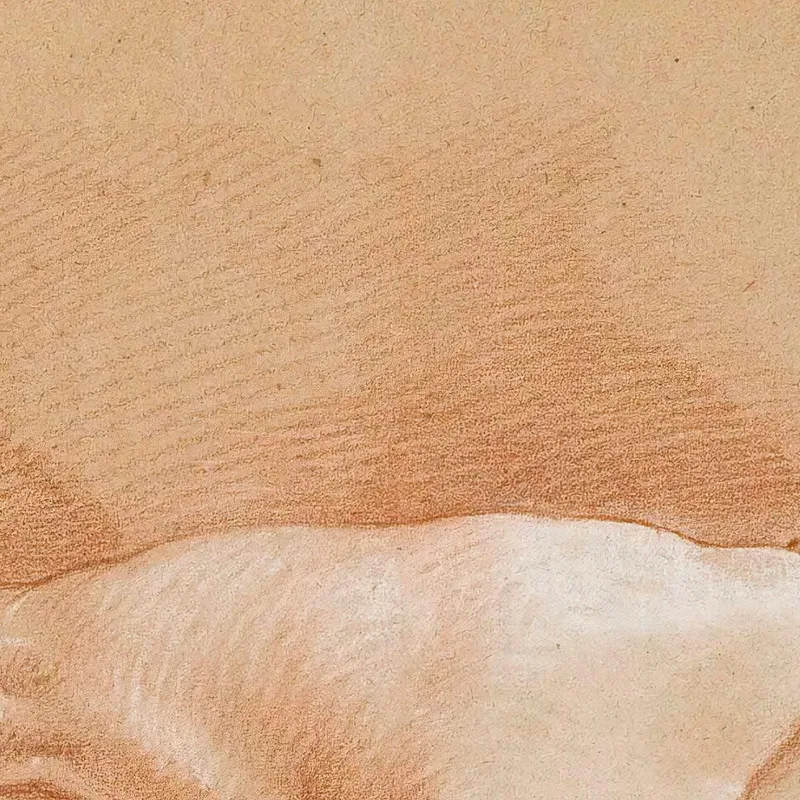 Mujer Joven Acostado François Boucher