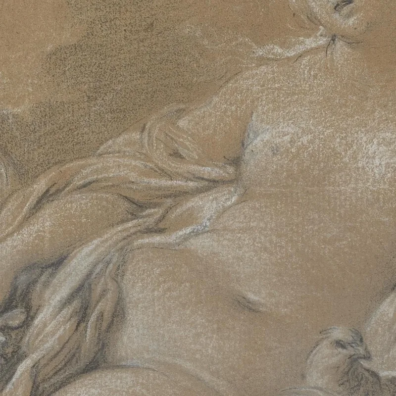 Venus Auf Einem Delphin Liegend François Boucher