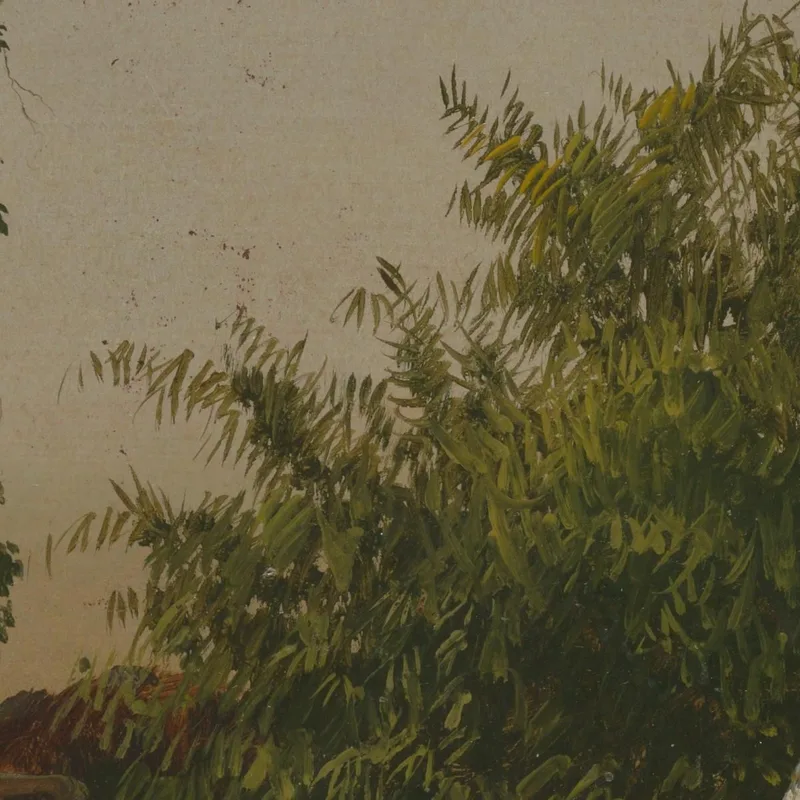 Arbres En Jamaïque Antilles Frederic Edwin Church