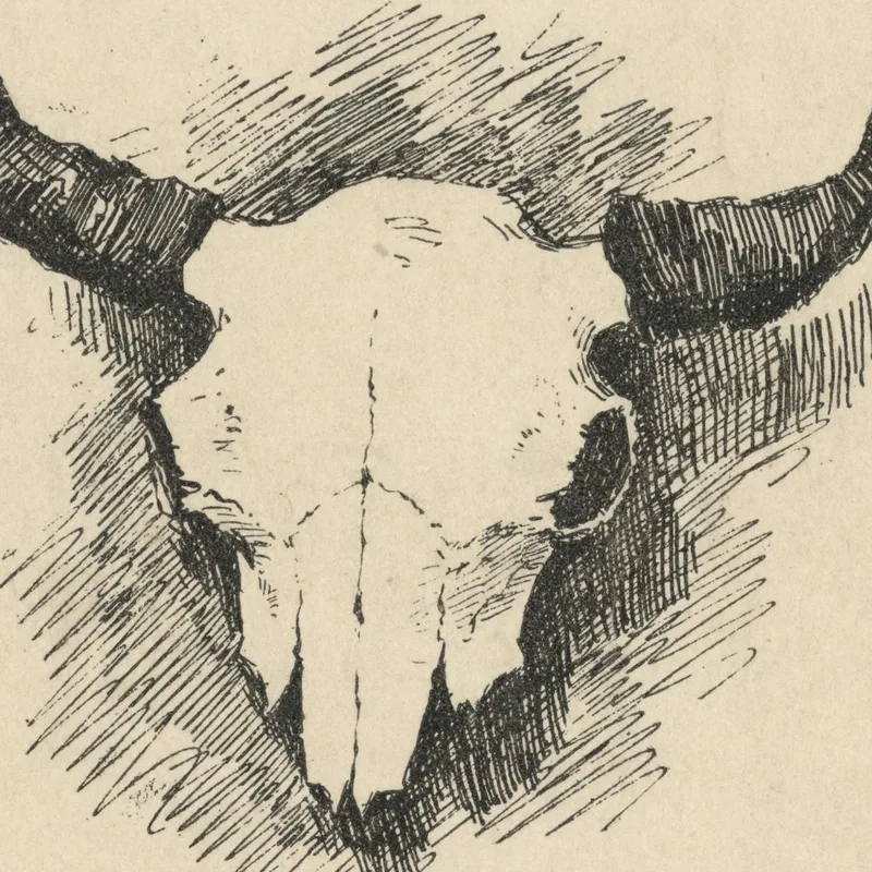 Ex-Libris De Frederic Remington Frederic Remington
