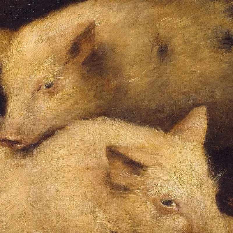 Maiali George Morland
