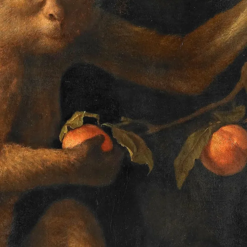 Un Singe George Stubbs