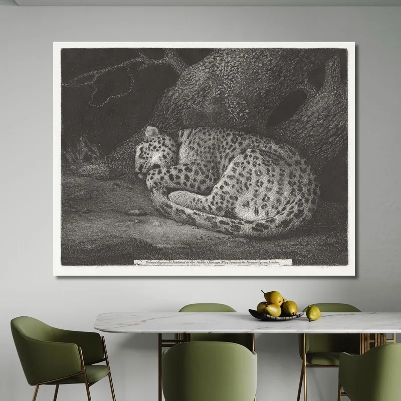 A Sleeping Leopard 1791 George Stubbs
