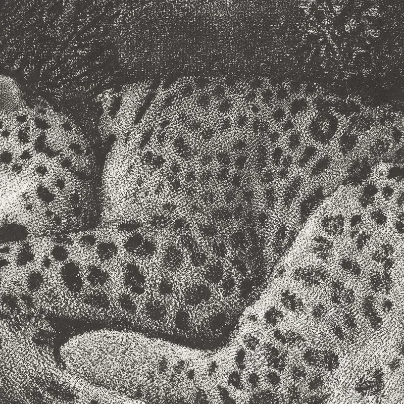 A Sleeping Leopard 1791 George Stubbs