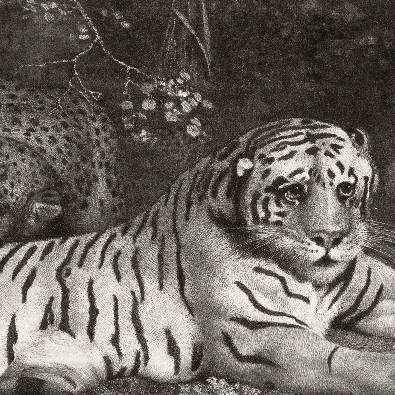 A Tiger And A Sleeping Leopard 1788 George Stubbs
