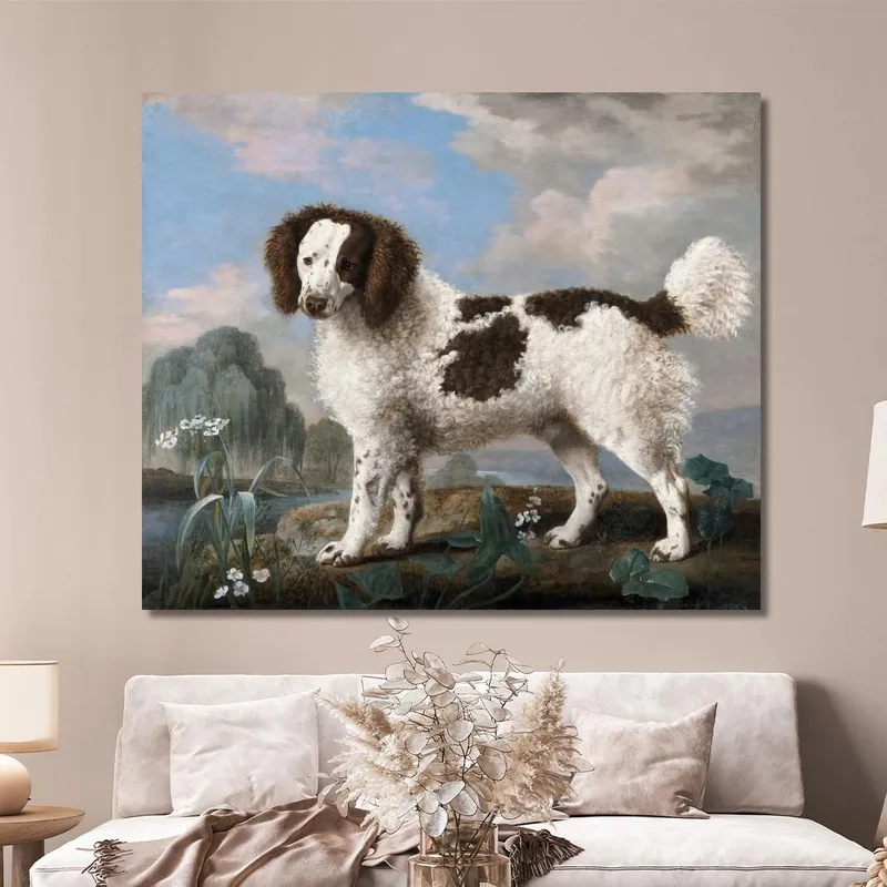 Norfolk Marrone E Bianco O Water Spaniel 1778 George Stubbs