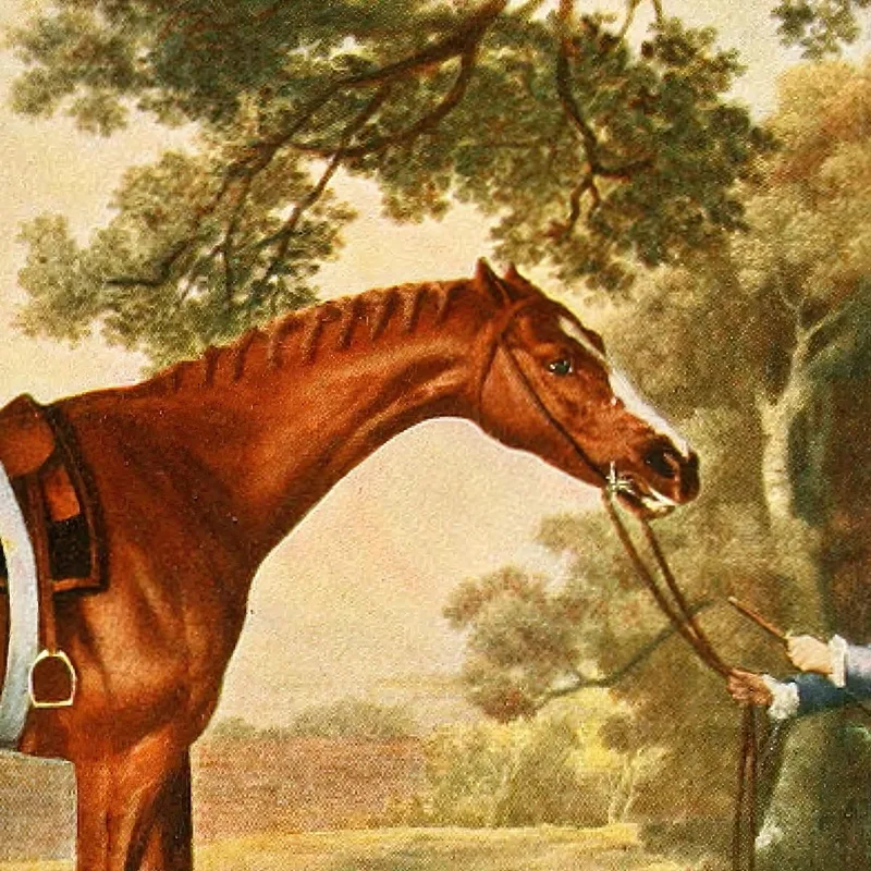 Eclisse George Stubbs