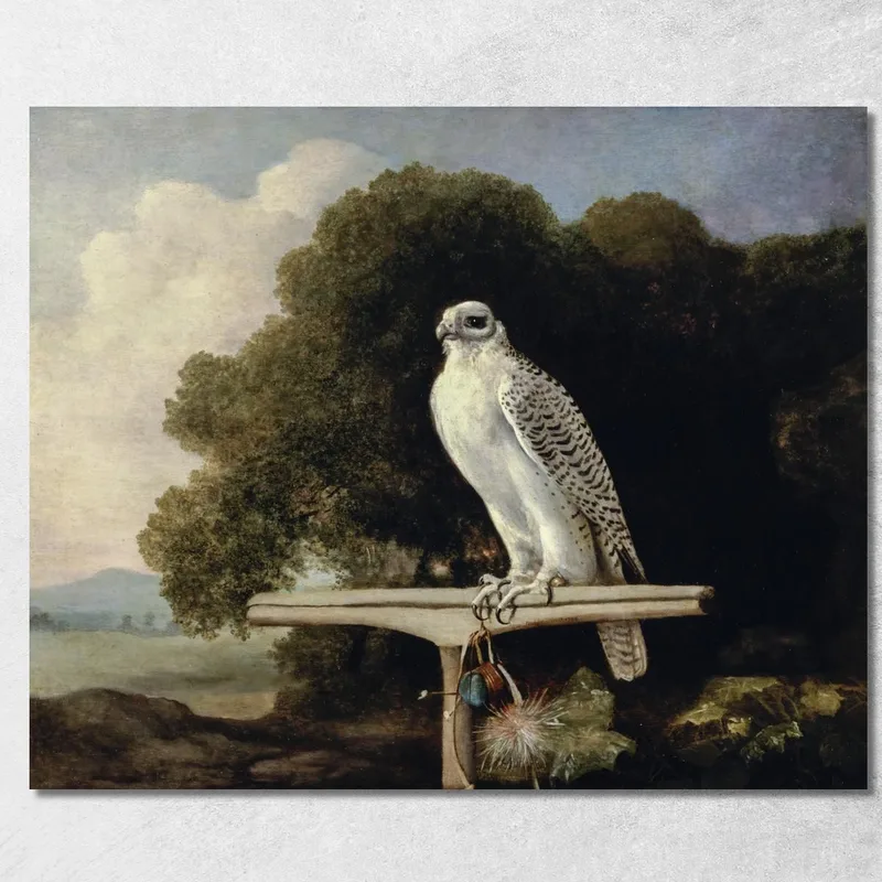 Falco Della Groenlandia 1780 George Stubbs quadro stampa su tela