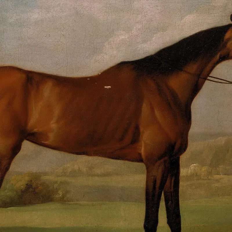 Molly Long-Legs With Her Jockey George Stubbs