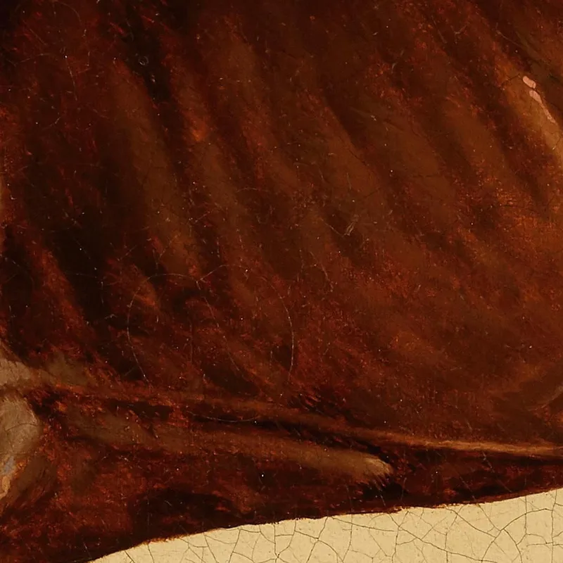 Pangloss 2 George Stubbs