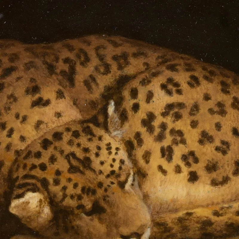 Léopard Endormi George Stubbs