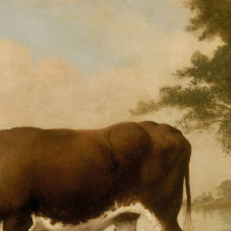 Le Bœuf Du Lincolnshire George Stubbs