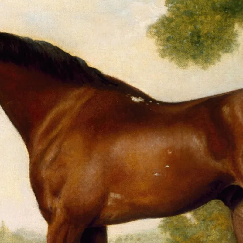 Attachez Un Chasseur George Stubbs