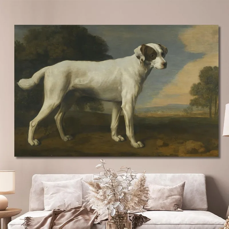 Il Cane Bianco Del Visconte Gormanston George Stubbs