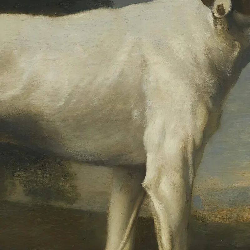 Il Cane Bianco Del Visconte Gormanston George Stubbs