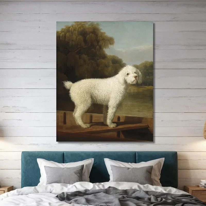 Caniche Blanc Dans Un Punt George Stubbs
