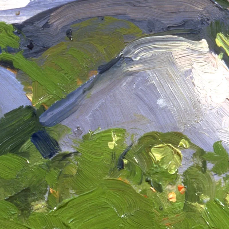 Costa Ricoperta Di Viti Monhegan Island George Wesley Bellows