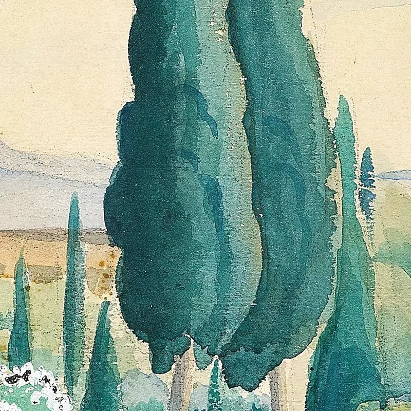 Vista Del Paesaggio Marocchino Nei Pini In Primo Piano Gerda Wegener