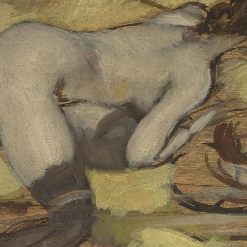 Solo Con Lo Specchio Giovanni Boldini