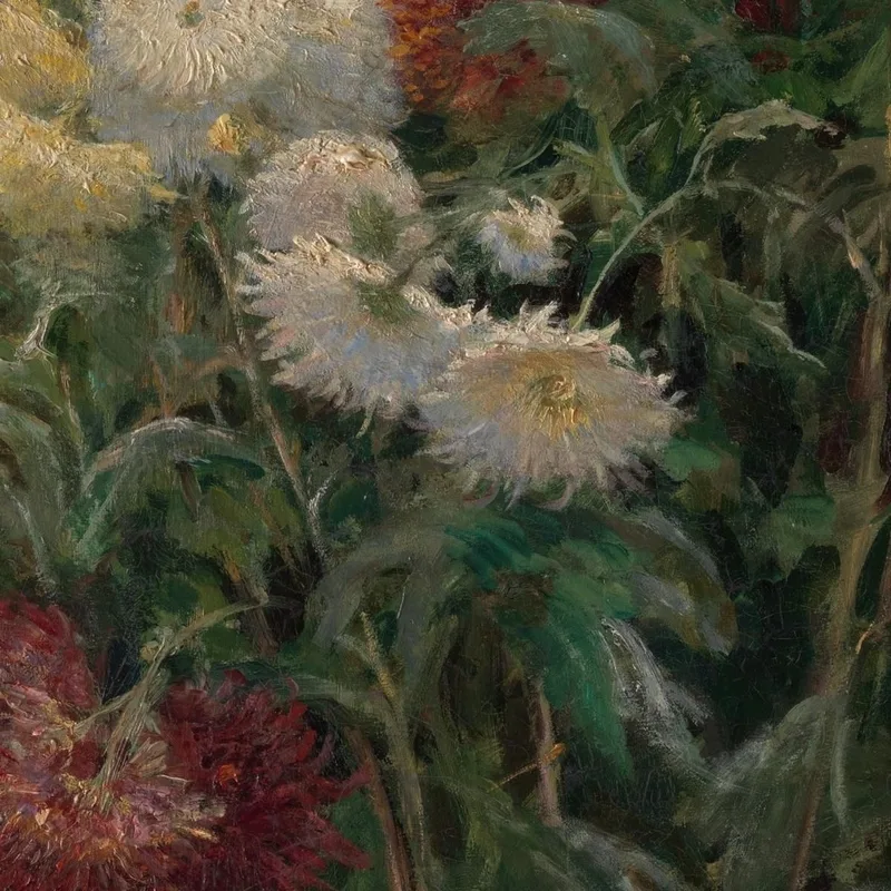 Chrysanthemums In The Garden At Petit-Gennevilliers Gustave Caillebotte