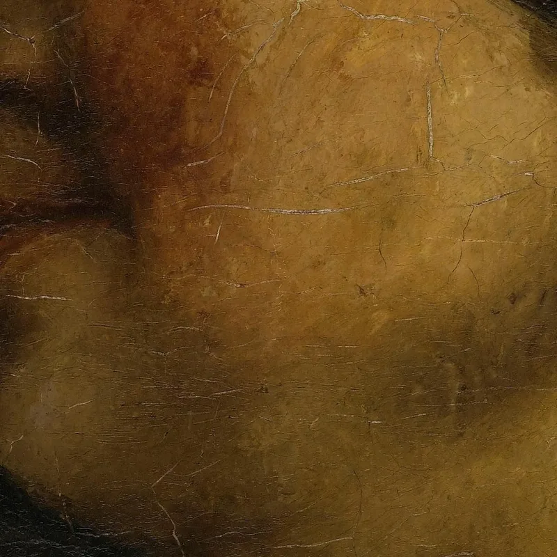 Porträt Einer Frau Gustave Courbet