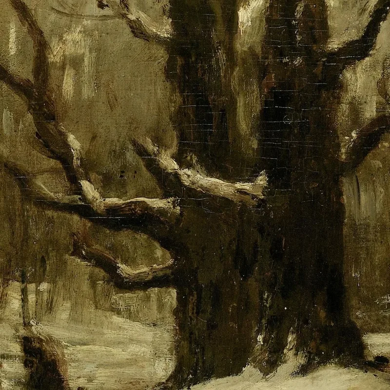 Paysage D'Hiver Gustave Courbet