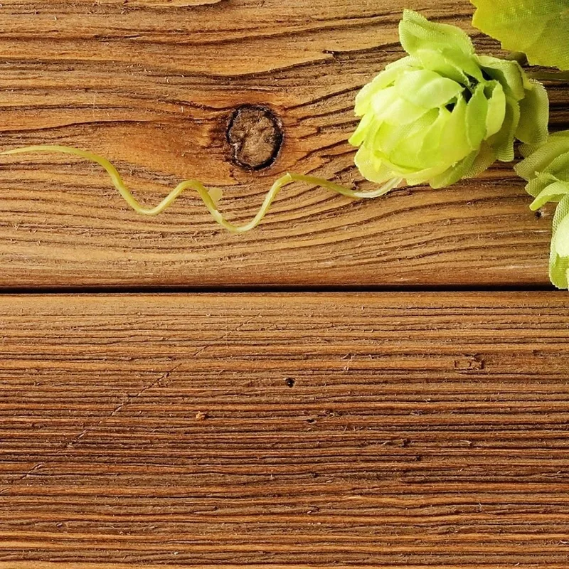 Cuadro Moderno Composición Otoñal Con Manzanas Y Bayas