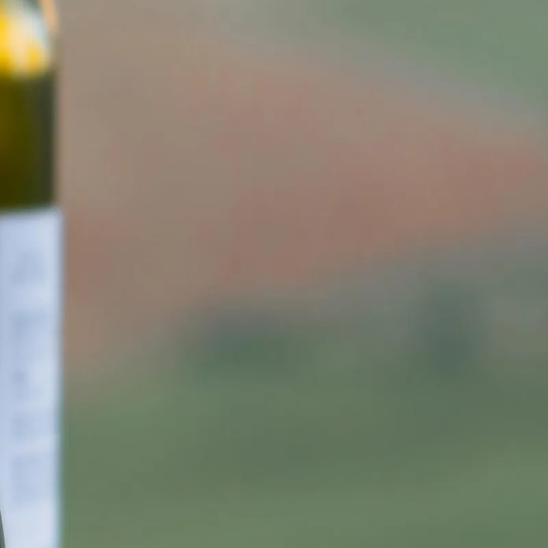 Modernes Gemälde Weinprobe Mit Käse Und Salami Auf Dem Hügel