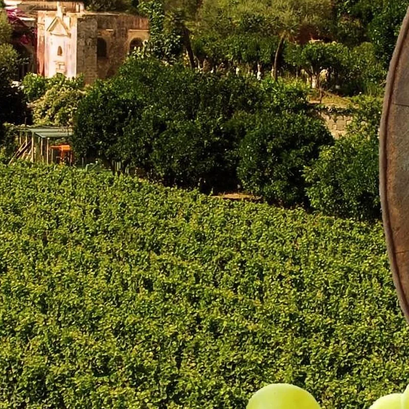 Quadro Moderno Vigneto Al Tramonto Con Botte Di Vino E Uva Bianca