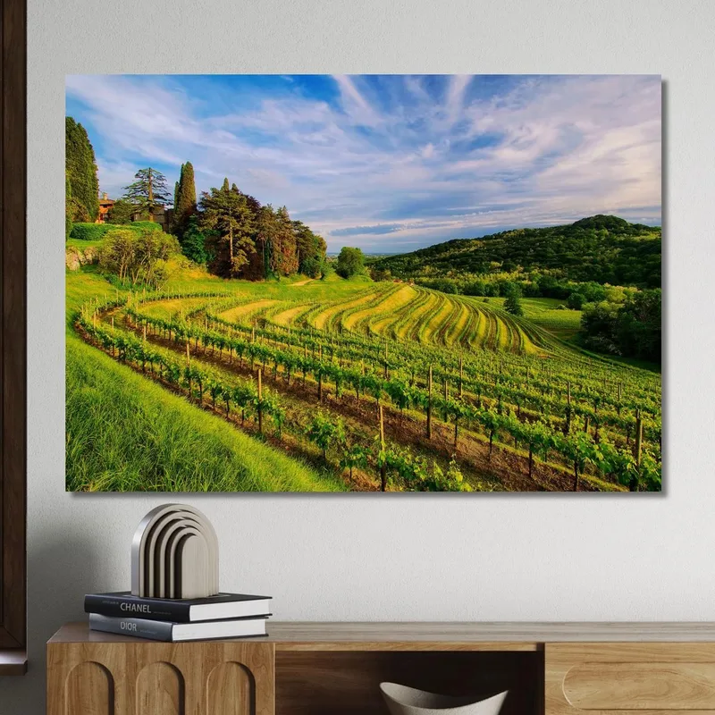 Peinture Moderne D'Un Vignoble À Flanc De Colline Au Coucher Du Soleil