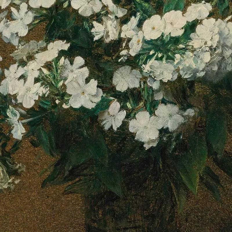 White Phlox In A Vase Henri Fantin-Latour