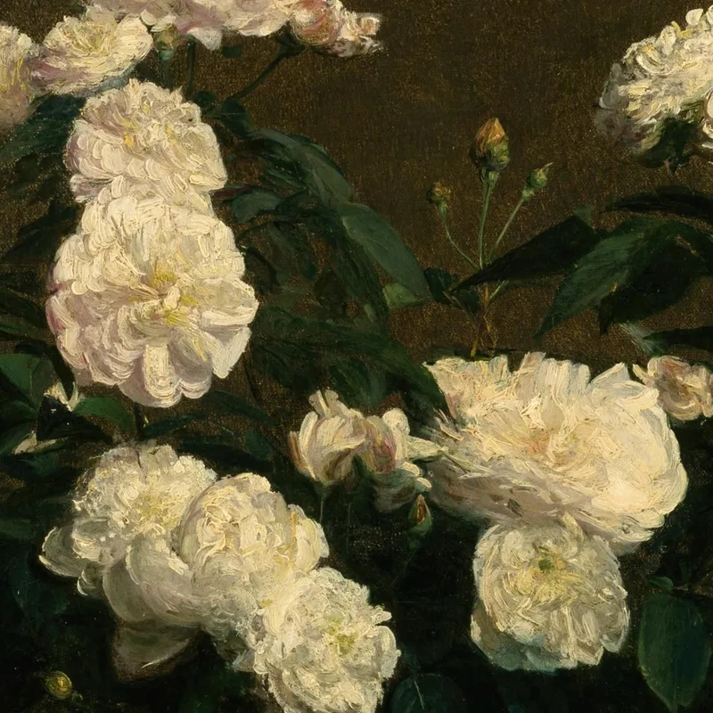 Natura Morta Di Rose Bianche Henri Fantin-Latour