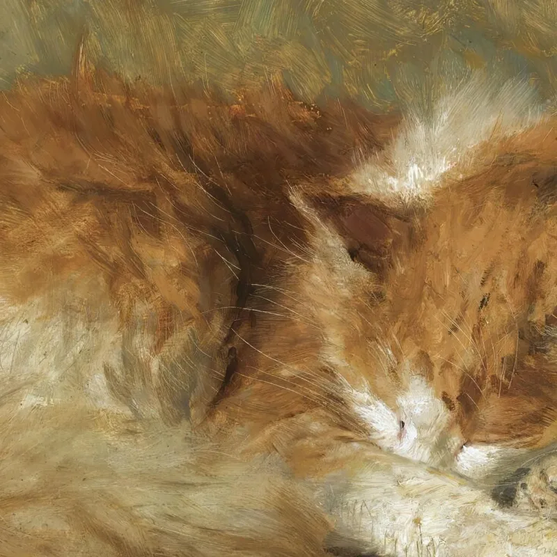 A Sleeping Cat Henriëtte Ronner-Knip