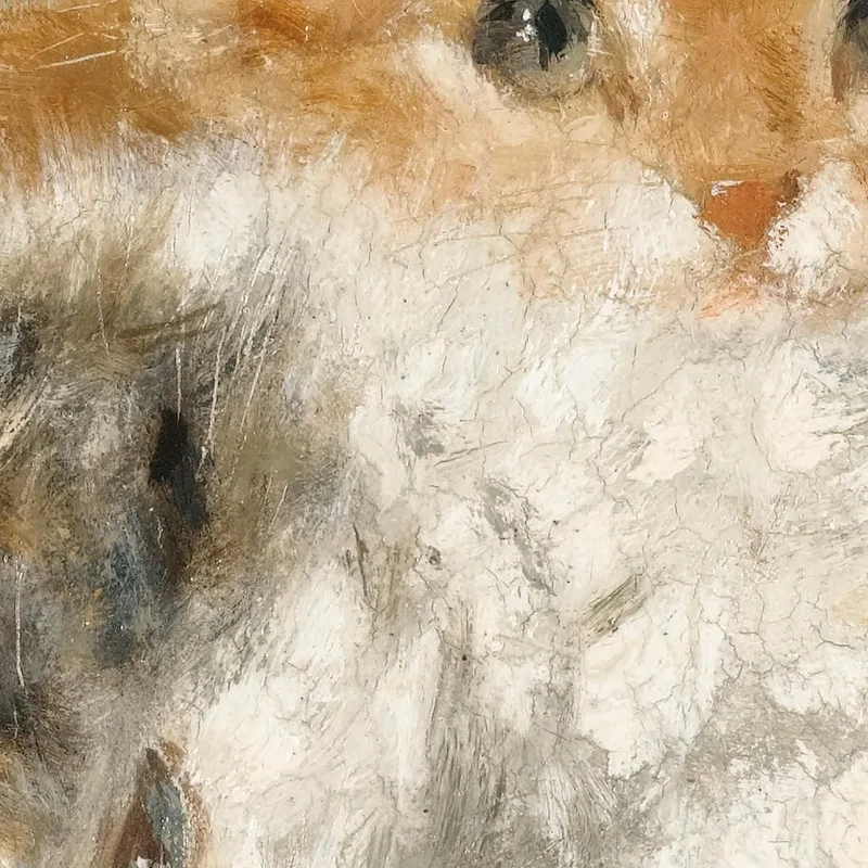 Gattini Assonnati Henriëtte Ronner-Knip