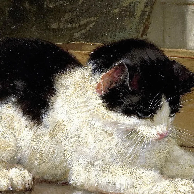 El Gato Jugando Henriëtte Ronner-Knip