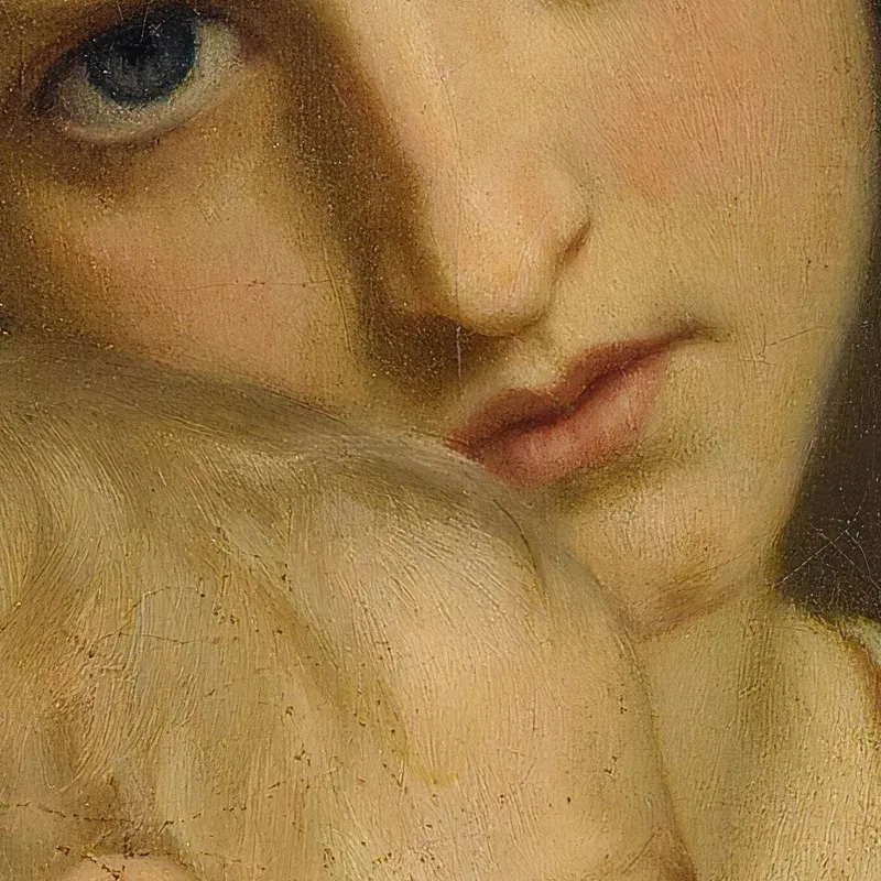 Afecto Hugues Merle