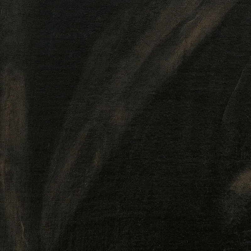 Lorenzo Soranzo Jacopo Tintoretto