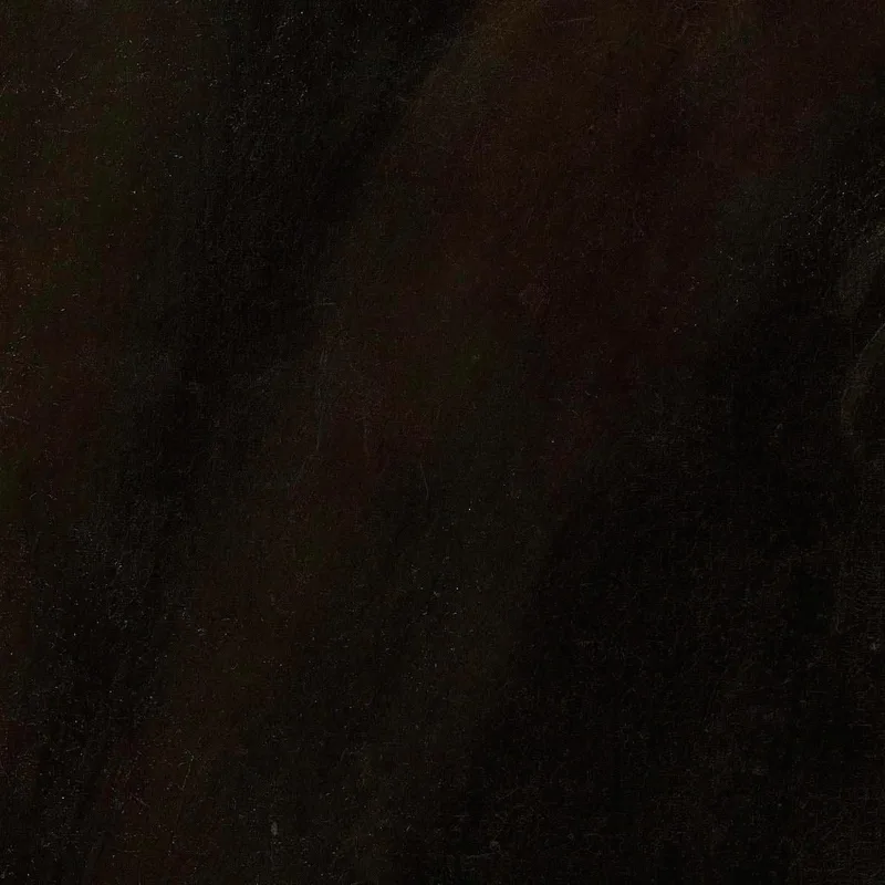 Porträt Des Humanisten Giovanni Paolo Cornaro Jacopo Tintoretto