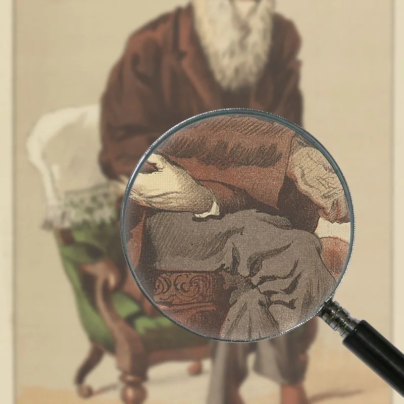 Vanity Fair Men Of The Day No. 33 Natural Selection James Tissot