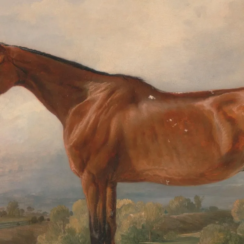 Un Cacciatore In Un Paesaggio James Ward