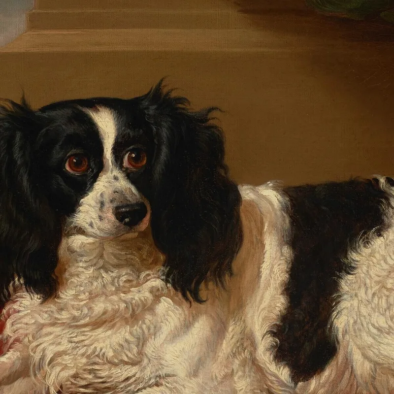 A King Charles Spaniel On A Red Cushion 2 James Ward