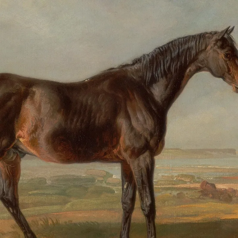 Dr. Syntax A Bay Racehorse Standing In A Coastal Landscape An Estuary Beyond James Ward